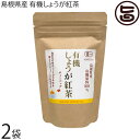 茶三代一 島根県産 有機しょうが紅茶ティーバッグ (2g×8p)×2袋