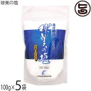 久米島海洋深層水開発 球美の塩 100g×5袋