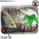 播芳 塩本紅鮭 本チャン 1.8kg前後 (23切前後)×1箱 北海道 サケ さけ 切り身