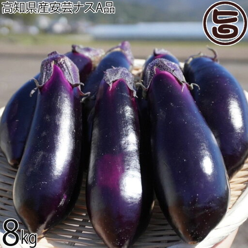 高知県産安芸ナスA品 8kg 高知県産安芸ナスA品 8kg