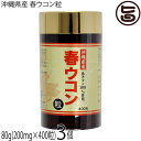 沖縄ウコン販売 沖縄県産 春ウコン粒 80g(200mg×400粒)×3個 春ウコン100%使用