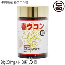 沖縄ウコン販売 沖縄県産 春ウコン粒 20g(200mg×約100粒)×3個 春ウコン100%使用