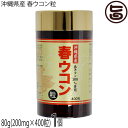 沖縄ウコン販売 沖縄県産 春ウコン粒 80g(200mg×400粒)×1個 春ウコン100%使用
