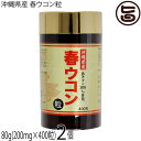 沖縄ウコン販売 沖縄県産 春ウコン粒 80g(200mg×400粒)×2個 春ウコン100%使用