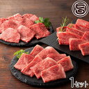 ギフト フジチク 藤彩牛BBQセット A4-A5 藤彩牛 ロース カルビ モモ焼肉用 各200g 九州産 黒毛和牛 さっとあぶり焼く感覚で お取り寄せ 贈り物 ...