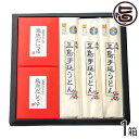 ギフト 五島手延うどん 五島手延うどんと飛魚だしつゆ詰合せ 五島うどん 200g×3袋 飛魚だしつゆ 10g×5P×2 長崎県 人気 土産 麺 だしつゆ付き 贈...