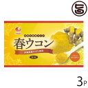 比嘉製茶 春ウコン粉 (袋入) 100g×3袋 沖縄 人気 定番 土産 うこん 鬱金 ウッチン 国産 沖縄県産100%使用 春うこん 粉末タイプ