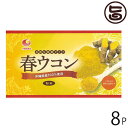 比嘉製茶 春ウコン粉 (袋入) 100g×8袋 沖縄 人気 定番 土産 うこん 鬱金 ウッチン 国産 沖縄県産100%使用 春うこん 粉末タイプ