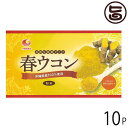 比嘉製茶 春ウコン粉 (袋入) 100g×10袋 沖縄 人気 定番 土産 うこん 鬱金 ウッチン 国産 沖縄県産100%使用 春うこん 粉末タイプ