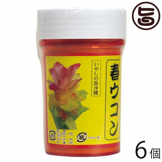 比嘉製茶 春ウコン粉 (容器入) 100g×6個 沖縄 土産 人気 健康食品 ウッチン 鬱金 名医とつながる たけしの家庭の医学