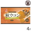 比嘉製茶 秋ウコン粉 (袋入) 100g×4袋 沖縄 人気 定番 土産 うこん 鬱金 ウッチン 国産 沖縄県産100%使用 秋うこん 粉末タイプ