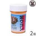 比嘉製茶 紫ウコン粉 容器入 100g×2個 精油成分豊富な紫ウコンサプリ
