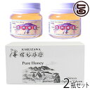 ギフト 荻原養蜂園 国産アカシアはちみつ 平瓶入り 300g×2瓶 ギフト箱入 長野県 信州 人気 土産 透明感ある香り高いミツ 贈答用 贈り物