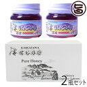 ギフト 荻原養蜂園 国産りんごはちみつ 平瓶入り 300g×2瓶 ギフト箱入 国産養蜂 長野県 信州 人気 土産 贈答用 贈り物