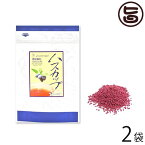 はすかっぷサービス ハスカップ濃縮果汁顆粒ロニセラ 50g×2P 北海道 土産 顆粒状ハスカップ 農商工連携認定 アントシアニン豊富