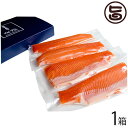 林養魚場 阿武隈川メイプルサーモン お刺身用柵 10〜12名分 約700g 骨抜き皮引き済 化粧箱入 ギフト 福島 土産 刺身