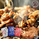 亀山精肉店 気仙沼ホルモンセット 味噌 塩 辛口 各350g×3種×各1P 宮城県 復興支援 気仙沼発 話題のB級グルメ 人気 味付き ホルモン