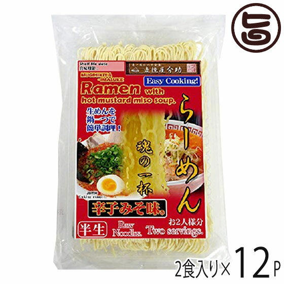 根岸物産 麦挽屋今助 魂の一杯らーめん 2食 辛子味噌味×12入り 群馬県 人気 土産 簡単に鍋一つで調理 半生らーめん 液体希釈辛子みそスープ付