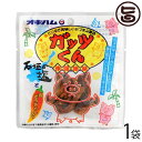 オキハム ガッツくん 15g×1袋 沖縄 人気 定番 土産 珍味 お酒のおつまみや沖縄土産におすすめ