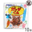 オキハム ガッツくん 15g×10袋 沖縄 人気 定番 土産 珍味 お酒のおつまみや沖縄土産におすすめ