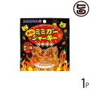 オキハム 激辛 ミミガージャーキー 9g×1袋 沖縄 人気 定番 土産 珍味 コリコリ食感 おつまみ