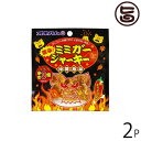 オキハム 激辛 ミミガージャーキー 9g×2袋 沖縄 人気 定番 土産 珍味 コリコリ食感 おつまみや沖縄土産におすすめの大人の珍味