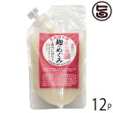 ギフト 渋谷醸造 麹のめぐみ 濃縮タイプ 200g×12P 北海道産米麹使用 飲む麹 酒粕、砂糖不使用 ブドウ糖の爽やかな甘味 低糖質