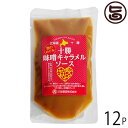 ギフト 渋谷醸造 十勝味噌 キャラメルソース 200g×12P 北海道 人気 土産 調味料 十勝本院町産大豆 特製無添加減塩 デイップ お肉 焼き魚 ソース
