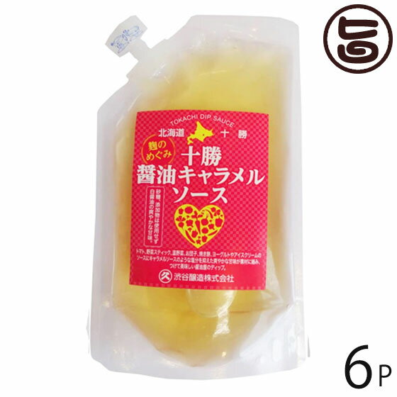 ギフト 渋谷醸造 十勝醤油 キャラメルソース 200g×6P 北海道 人気 土産 調味料 十勝本院町
