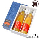 ギフト たてしなップル 果肉入林檎ジュース ふじ 720ml×2本 長野県 土産 果実飲料 フルーツジュース ご自宅用 パーティー 贈り物に(4)