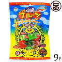竹製菓 沖縄 フルーツキャンディー 100g×9P 沖縄 人気 定番 土産 飴 アメ 沖縄土産におすすめのお菓子