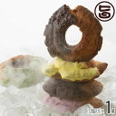 ギフト ウフフ 夏のぴったり フローズンドーナツ12個入りギフトボックス 石川県 人気 土産 保存料無添加 冷凍 ドーナツ プレゼント 贈答用