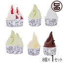ギフト やんばるジェラート マエストロ特別チョイスセット 世界大会受賞ジェラード含む 6種類 8個セット 沖縄ジェラート フルーティ ご自宅用 贈答用 プレゼン...