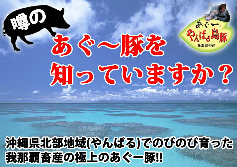 フレッシュミートがなは やんばる島豚あぐー ≪黒豚≫ 肩ロース 焼き肉用 500g 沖縄 土産 アグー 貴重 肉 条件付き送料無料