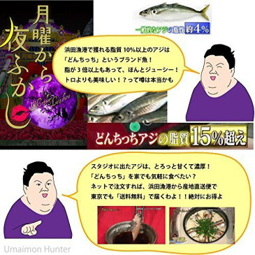 お歳暮 どんちっちあじ水煮 3缶×2セット 専用化粧箱入り 島根県浜田港ブランド魚 あじ 水煮缶 条件付き送料無料 島根土産 ギフト 手作り 無添加 人気 お歳暮 お中元