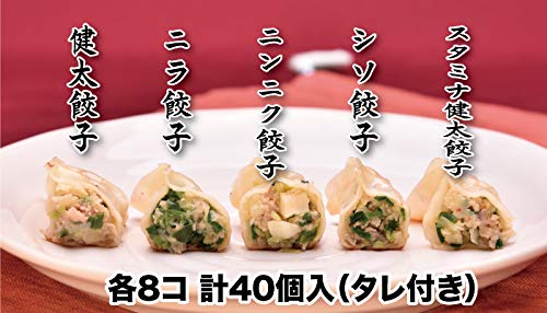 宇都宮餃子館 健太餃子 シソ スタミナ健太 ニンニク ニラ 餃子5種×各5個 40個セット 栃木県 宇都宮 土産 おかず 送料無料