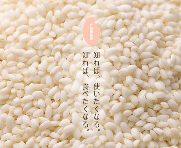 仲宗根糀家 塩糀 520g×2P 生きてる酵素入り 発酵調味料 調味料 沖縄県産 塩こうじ 条件付き送料無料