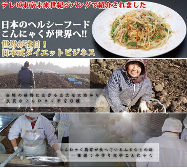 【注文殺到!】業務用 北毛久呂保 こんにゃく焼きそば 16食分 群馬県 福州飯店 監修 蒟蒻 健康管理 カロリー調整 秘密のケンミンSHOWで話題 条件付き送料無料