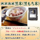 海のもの山のもの 西表島産 黒米 200g×4袋 沖縄 人気 健康管理 国産 土産 希少 2