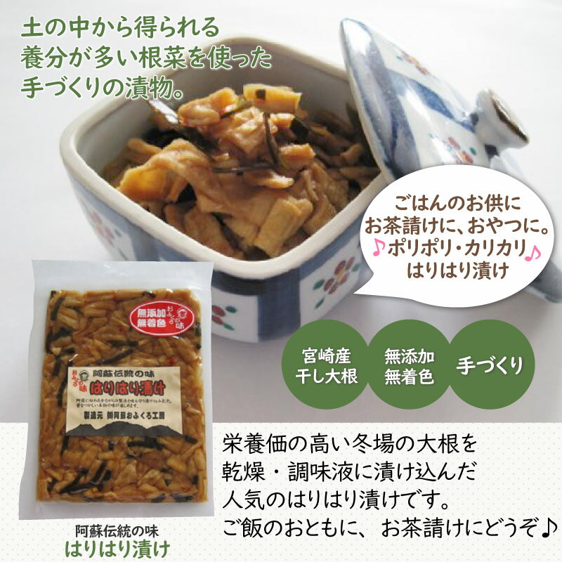 阿蘇おふくろ工房 はりはり漬け 100g×2袋 熊本県 菊池産の冬季収穫大根を使用 阿蘇の昔ながらの製法 伝統の漬け 無添加 無着色 一部地域追加送料あり