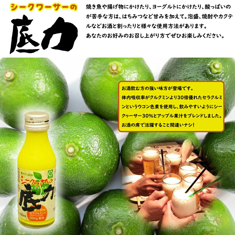 沖縄特産販売 シークヮーサーの底力 (100ml×15本)×2箱 沖縄 土産 人気 果汁ドリンク セラクルミン・ビタミン豊富 シークワーサー 果汁 条件付き送料無料