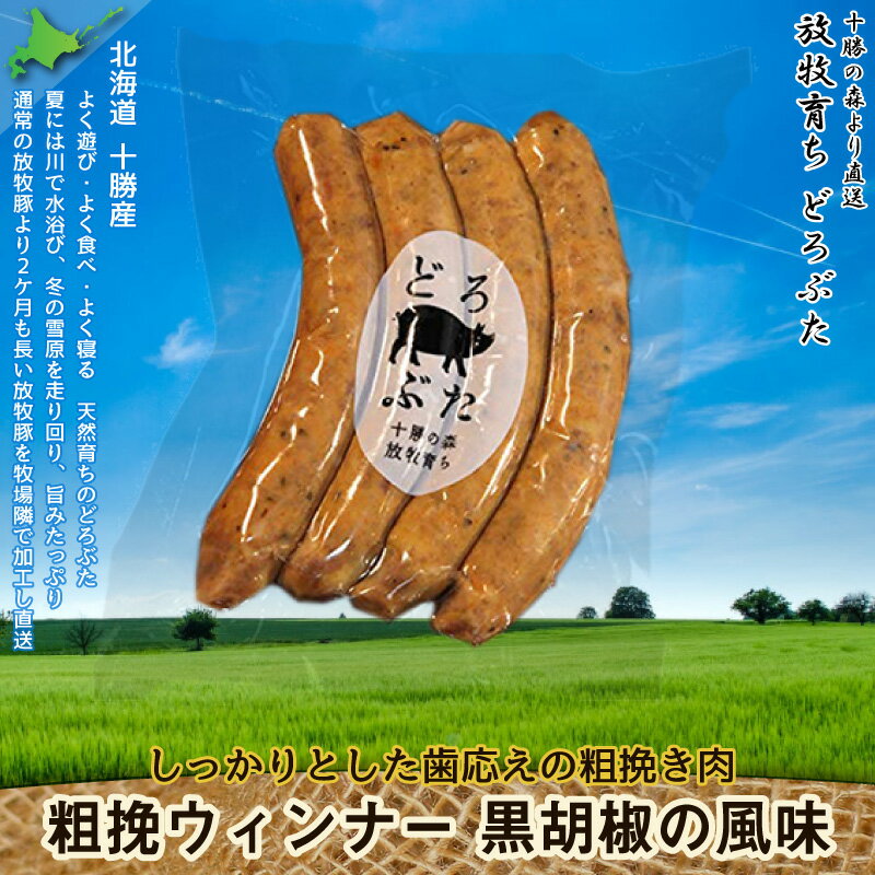 エルパソ どろぶた 粗挽ウィンナー 4本入 120g×5P 北海道 土産 人気 お取り寄せ食材 オリジナルの放牧豚のソーセージ 2