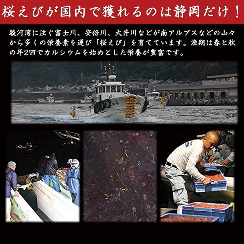 土佐清水食品 姫かつおスティック プレーン 10個入【高知県産宗田鰹/長期保存】【クリックポスト】