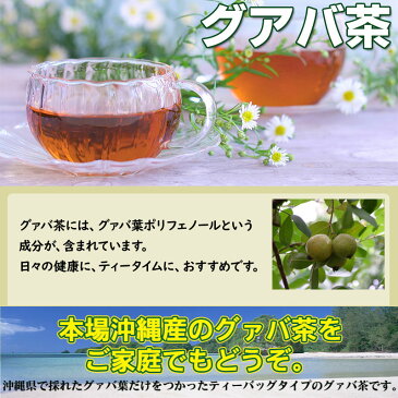 比嘉製茶 グアバ茶(ティーバッグ) 160g (5g×32P)×10箱 沖縄 土産 人気 健康茶 ポリフェノール 条件付き送料無料