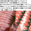 肉の匠 テラオカ 大阪プレミアムポーク 豚ロースしゃぶ肉 豚バラしゃぶ肉 各400g セット 大阪 土産 人気 豚肉加工品 国産豚 ご自宅用に 贈り物に 3