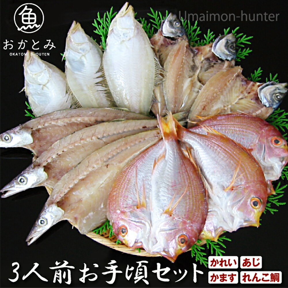 ギフト 化粧箱入り 岡富商店 三人前地魚ひものセット エテかれい あじ かます れんこ鯛 島根沖産魚 お取り寄せ食材 ご自宅用に 贈り物に