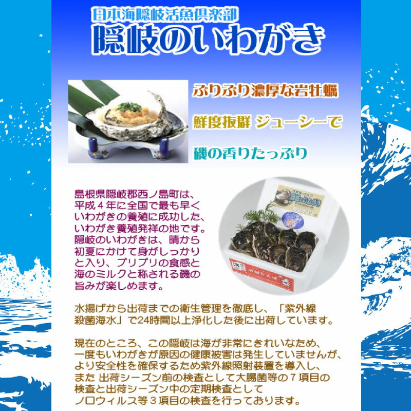 日本海隠岐活魚倶楽部 隠岐のいわがき プロトン凍結 2Lサイズ 10枚入り 旬の時期にプロトン凍結 島根県 魚介類 人気 贅沢 タウリン カルシウム ビタミンB12