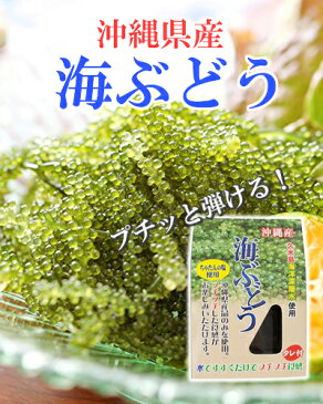 大幸商事 沖縄県産 海ぶどう タレ付 20g×3P 沖縄 人気 定番 土産 海藻 送料無料