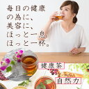 比嘉製茶 ゴーヤー茶 20g×3袋 沖縄 人気 定番 土産 健康茶 にがうり リノレン酸がたっぷり 3