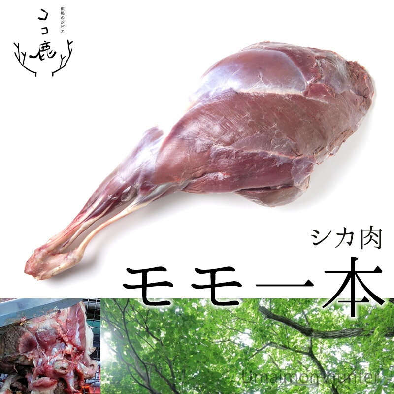 お取り寄せ鹿肉おすすめ9選｜北海道産や京都産など天然物を紹介！ | マイナビおすすめナビ
